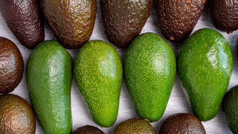 Fruit Services Collective verhoogt opslagdichtheid met speciaal pallet shuttlesysteem